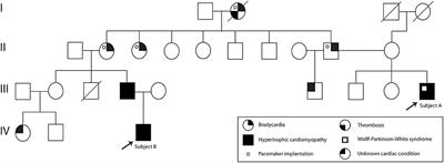 Case report: Genomic screening for inherited cardiac conditions in Ecuadorian mestizo relatives: Improving familial diagnose